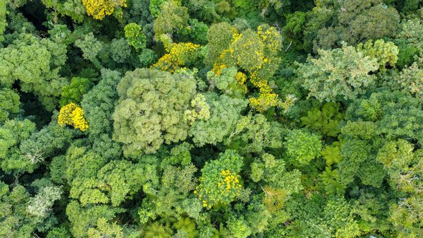 Comment nettoyer une hotte en inox sans traces de doigts