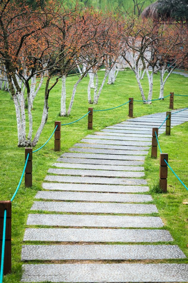 Créer allée jardin pierre: Élégance et durabilité