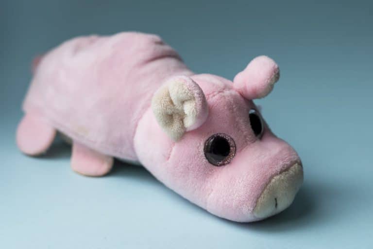 Pourquoi acheter une peluche en cochon ?
