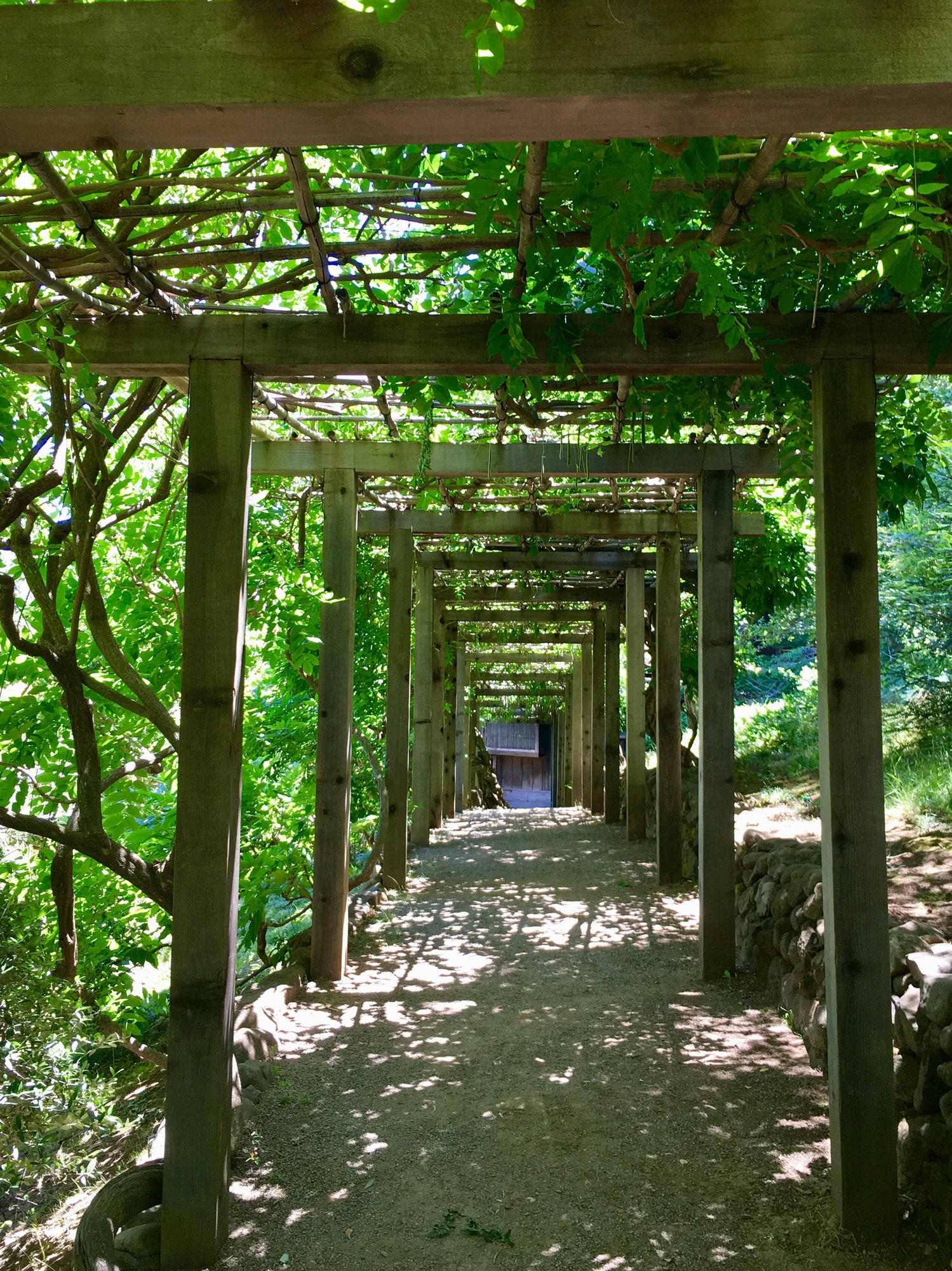 Pergolas bioclimatiques : entre confort thermique et plaisir esthétique