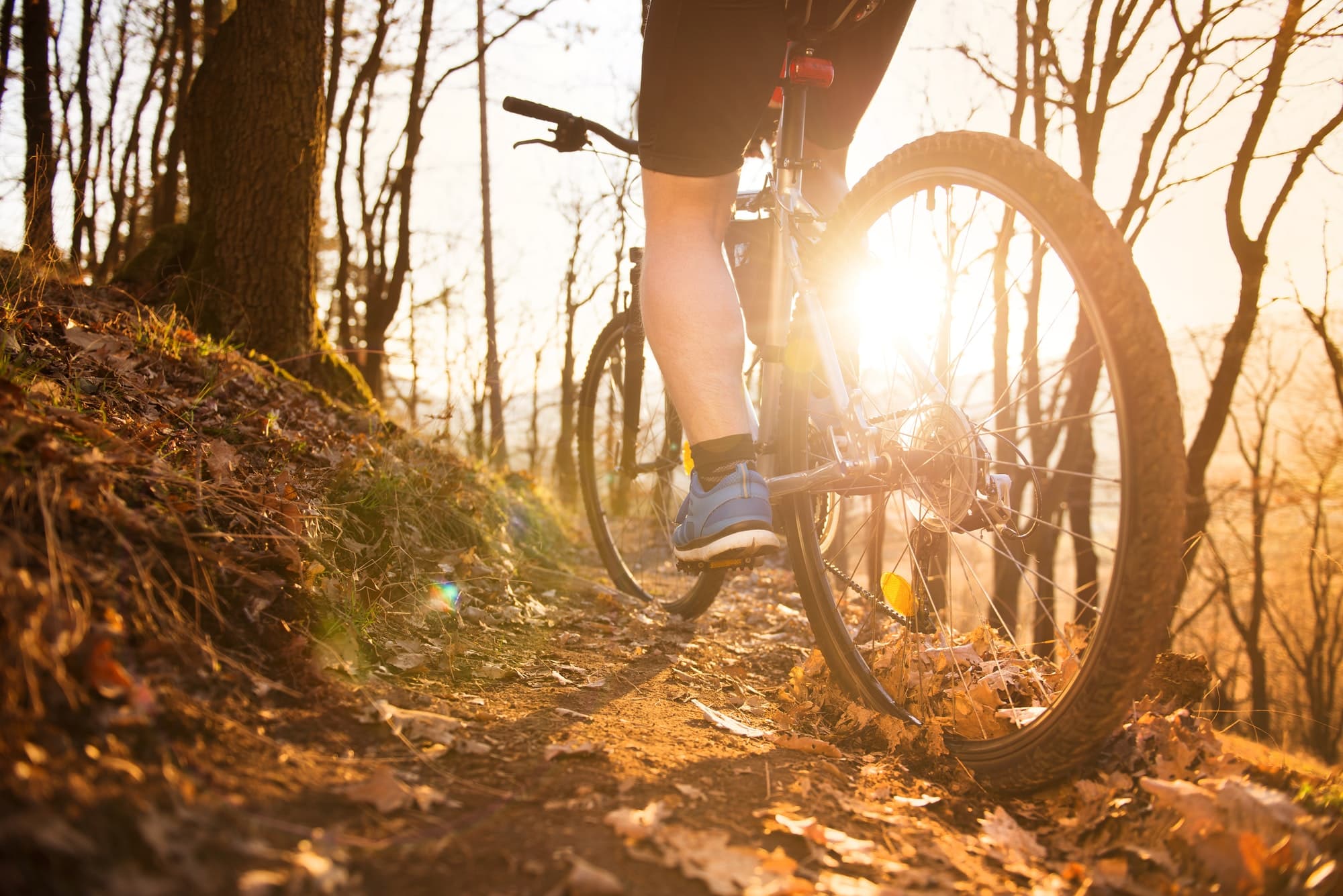 Vélos tous terrains : le guide complet